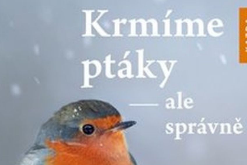 krmime ptaky ale spravne