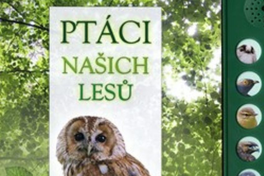 ptacinasichlesu